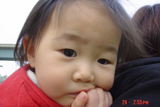 사용자 삽입 이미지