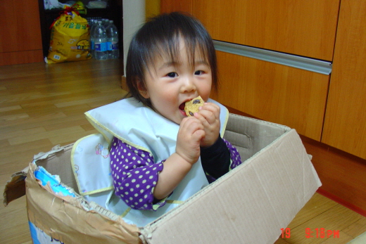 사용자 삽입 이미지