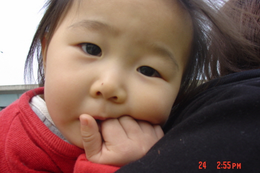 사용자 삽입 이미지